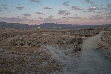 California Desert 