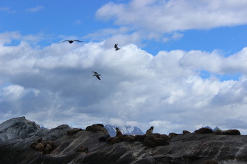 Paisaje