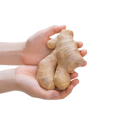 Ginger root is in the hands.