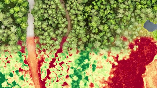 Process of calculating NDVI vegetation index using aerial imagery