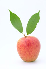 New Zealand apple on background