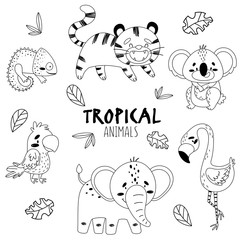 Black and white set cute tropical animals isolated background. On the picture is a chameleon, tiger, koala, flamingo, elephant, parrot. Stylized inscription and sketch of tree leaves