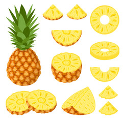 Set of fresh whole, half, cut slice pineapple fruits isolated on white background. Summer fruits for healthy lifestyle. Organic fruit. Cartoon style. Vector illustration for any design. - obrazy, fototapety, plakaty