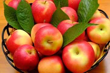 New Zealand apple on background