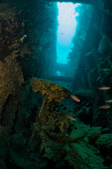 Wreck Diving Vanuatu President Coolidge