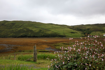 Fototapeta na wymiar Skye Island (Scotland), UK - August 14, 2018: Typical landscape of Scotland, Isle of Skye, Inner Hebrides, Scotland, United Kingdom