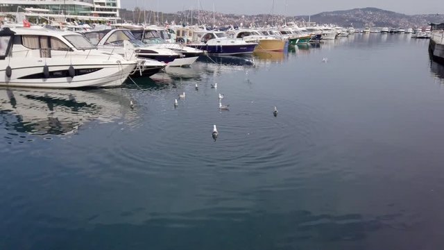 clear sunny warm day. Private yachts and sailing boats with lowered sails standing on pier in bay. Reflections in water. People walk along promenade. Turkey, Istanbul, Tarabya, February 2020.
