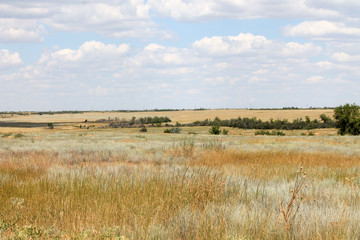 Steppe distant yellow dry grass and sky in the clouds
