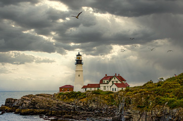 Leuchtturm in Maine mit M&ouml;wen 