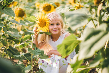 little girl in a field of sunflowers 