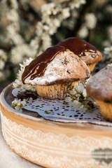 Tasty chocolate cupcakes. Homemade chocolate muffin cupcake with cream buttercream icing. Easter sweet dessert cake. Close up view. Cupcakes in blooming trees. Outdoor shooting in garden.