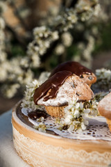 Tasty chocolate cupcakes. Homemade chocolate muffin cupcake with cream buttercream icing. Easter sweet dessert cake. Close up view. Cupcakes in blooming trees. Outdoor shooting in garden.