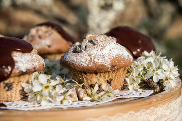 Tasty chocolate cupcakes. Homemade chocolate muffin cupcake with cream buttercream icing. Easter sweet dessert cake. Close up view. Cupcakes in blooming trees. Outdoor shooting in garden.