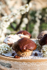 Tasty chocolate cupcakes. Homemade chocolate muffin cupcake with cream buttercream icing. Easter sweet dessert cake. Close up view. Cupcakes in blooming trees. Outdoor shooting in garden.