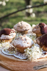 Tasty chocolate cupcakes. Homemade chocolate muffin cupcake with cream buttercream icing. Easter sweet dessert cake. Close up view. Cupcakes in blooming trees. Outdoor shooting in garden.