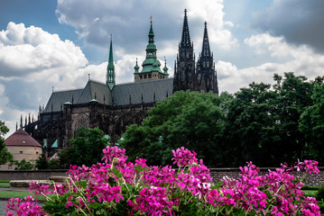 Saint Vitus Cathedral in Prague