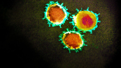 illustration of an electron micrograph screen Coronavirus mutant of the corona covid-19 virus - SARS-COV-2