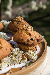 Tasty vanilla cupcakes with raisins. Homemade muffin cupcake with sugar powder. Easter sweet dessert cake. Close up view. Cupcakes in blooming trees. Outdoor shooting in garden.