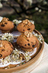 Tasty vanilla cupcakes with raisins. Homemade muffin cupcake with sugar powder. Easter sweet dessert cake. Close up view. Cupcakes in blooming trees. Outdoor shooting in garden.