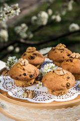 Tasty vanilla cupcakes with raisins. Homemade muffin cupcake with sugar powder. Easter sweet dessert cake. Close up view. Cupcakes in blooming trees. Outdoor shooting in garden.
