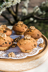 Tasty vanilla cupcakes with raisins. Homemade muffin cupcake with sugar powder. Easter sweet dessert cake. Close up view. Cupcakes in blooming trees. Outdoor shooting in garden.