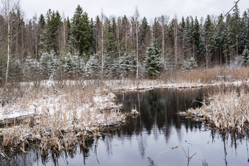 Calm surface of the forest lake against the background of the forest after the first autumn snowfall, panorama