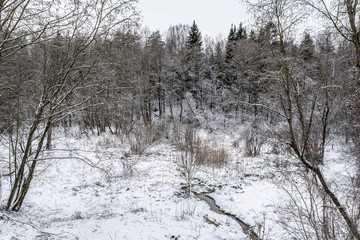 Tree branches in the snow in the forest against the background of a stream, winter landscape