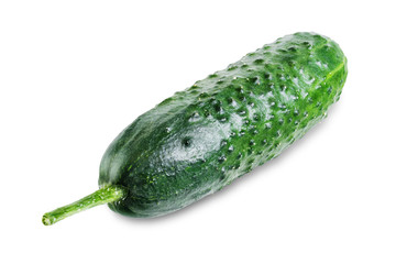Fresh cucumber on a white isolated background