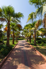 Obraz premium Alanya. Embankment near the beach. Anatolian coast. Turkey.