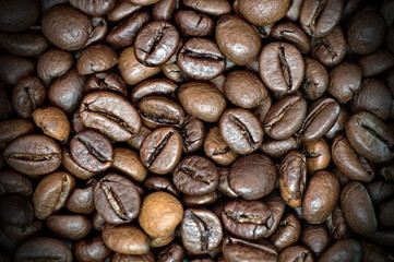 coffee beans background