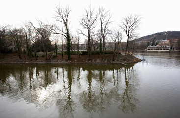 Fototapeta premium Trees reflecting in the river in Prague