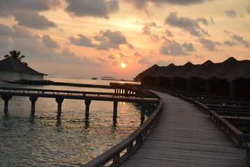 Obraz premium Sunset