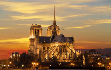 The Notre Dame Cathedral at sunset , Paris, France. - obrazy, fototapety, plakaty
