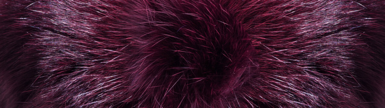 Natural fur. Plum color of fur. Fur pattern. Banner for the site. Fur texture © Iryna UkraineLife