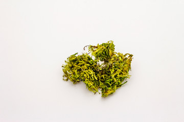 Green moss isolated on white background. Decorative element