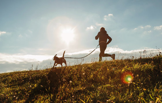 Man runing with his beagle dog at sunny morning. Healthy lifestyle and Canicross exercises jogging concept image.