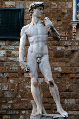 David sculpture in the old town of Florence