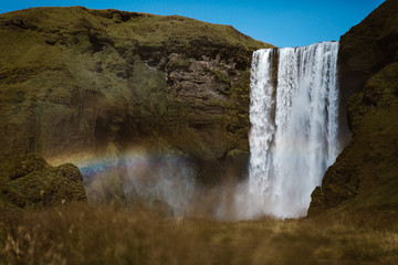 waterfall with rainbow and flying white bird, Iceland