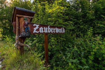 The wild and romantic magic forest