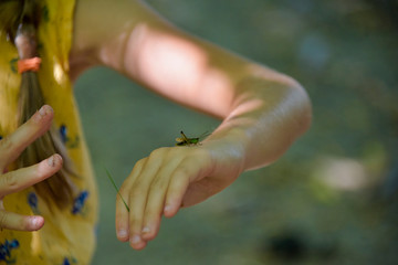 Brasov, Romania - Aug 2019: Young girl plays with a grasshopper