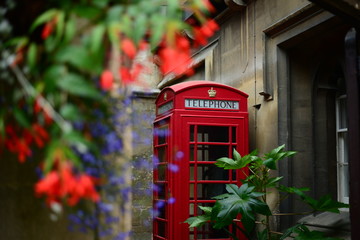 Obraz premium tradicional english phone booth with flowers around