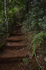 Obraz premium 2 de mayo, Misiones