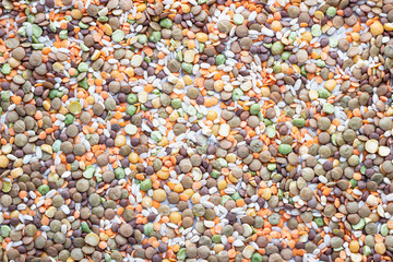 Flat lay composition with different types of grains and cereals on light grey concrete background. Food ingredients and agricultural product concept.