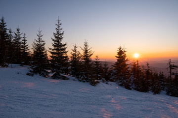 Fototapeta premium Sunrise in the mountains with trees and tracks from skis in the snow