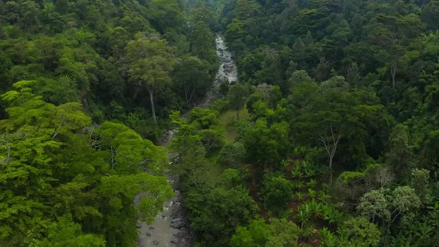 Aerial view of mangrove forest and river in Tanzania Mangrove jungles, trees, river. Near Mt. Kilimanjaro.