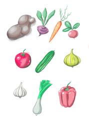Watercolor illustration of a set of vegetables isolated on white background
