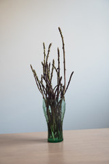 Wild asparagus in a glass.