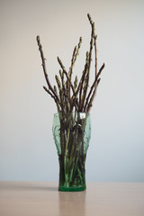 A bouquet of wild asparagus in a glass.