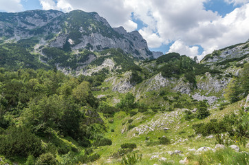 Fototapeta na wymiar Mountain scenery, National park Durmitor, Montenegro