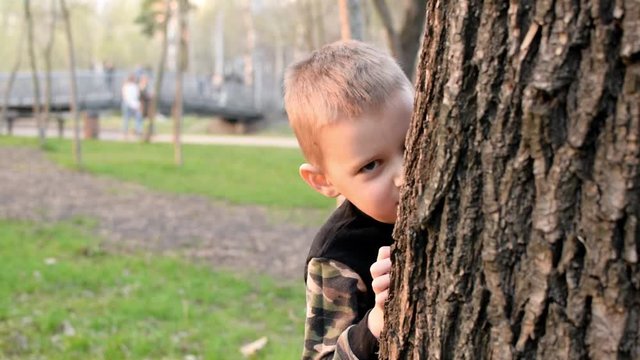 A little boy peeks out from behind a tree.